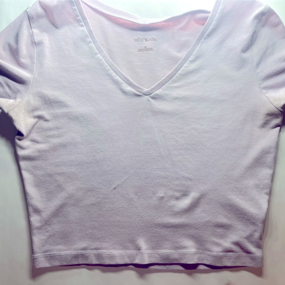 Medium Lavender/light purple wild fable crop